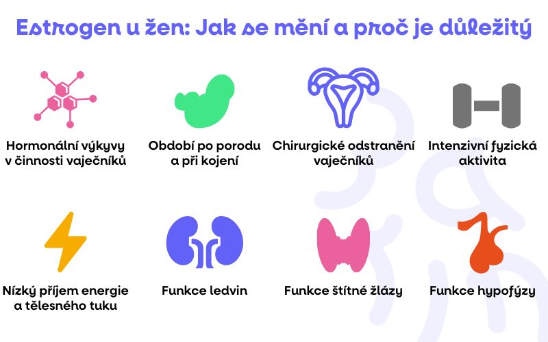 ESTROGEN UZEN